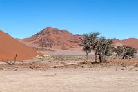 Vom Winde verweht  In einer von mächtigen Sanddünen dominierten Landschaft, weckt ein einzelner, lediglich von Verwehungen bedeckter Felshügel schon Aufmerksamkeit.  Tief beeindruckt von den Formen und Farben, die eine verspielte Natur aus Sand und Wind geschaffen hat, steigen wir wieder ins Auto und machen uns endgültig auf den Rückweg Richtung Parkeingang, wo wir noch einen Abstecher zum Sesriem Canyon planen.