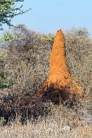 Wie der Boden,...  ...so der Bau. Termiten sind, was die Farbe ihrer Hügel angeht, nicht wählerisch.  Das Omaruru Guesthouse ist zwar nett, bietet aber nur Übernachtung und Frühstück. Glücklicherweise ist ein Restaurant nur wenige Meter entfernt, in dessen Garten wir ein opulentes Abendessen unterm Sternenhimmel genießen.