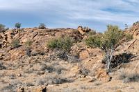 Wir haben uns trotzdem getraut  Vornehmlich für die Ertüchtigung seiner mountainbike-gestählten Muskeln hat der holländische Eigentümer die Trails seiner Besitzung angelegt. Als ehemaliger Teilnehmer an Mountainbike Wettbewerben lacht er wahrscheinlich über Steigungen und halsbrecherische Wegabschnitte, die für uns schon als Fußgänger eine Herausforderung darstellen.