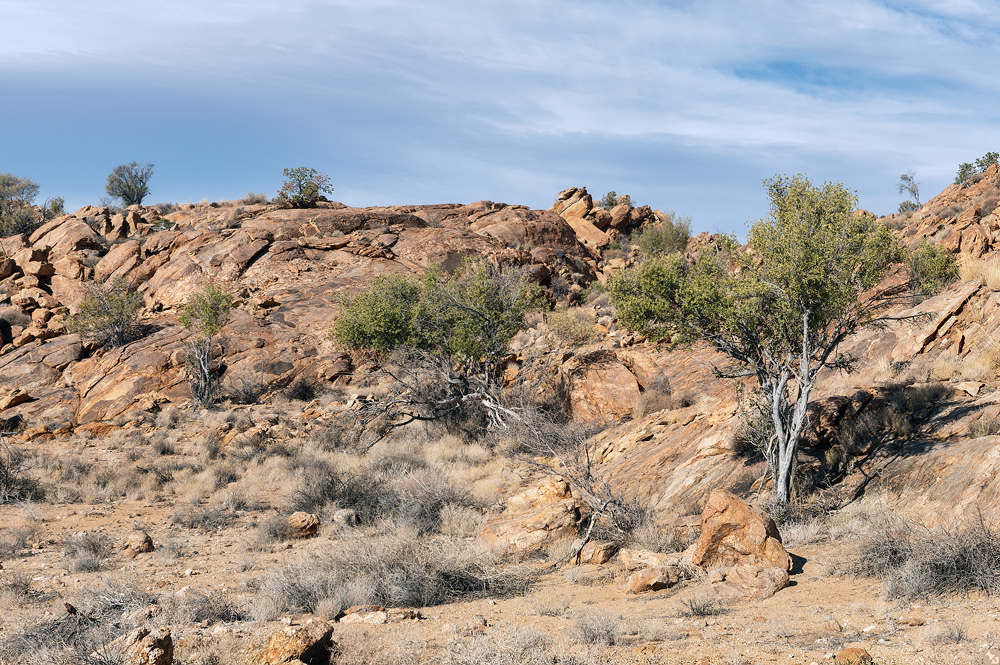 Wir haben uns trotzdem getraut