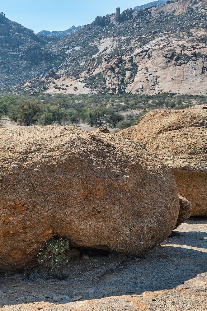 Wo das Leben hinfällt