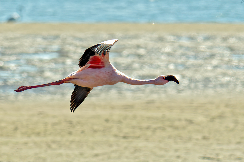 Wo Haltung wirklich zählt!