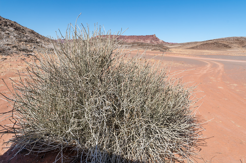 Zuhause im Damaraland