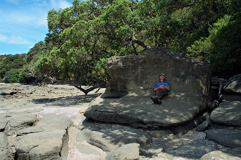 Auch als pflegeleichte Komplettgarnitur lieferbar!