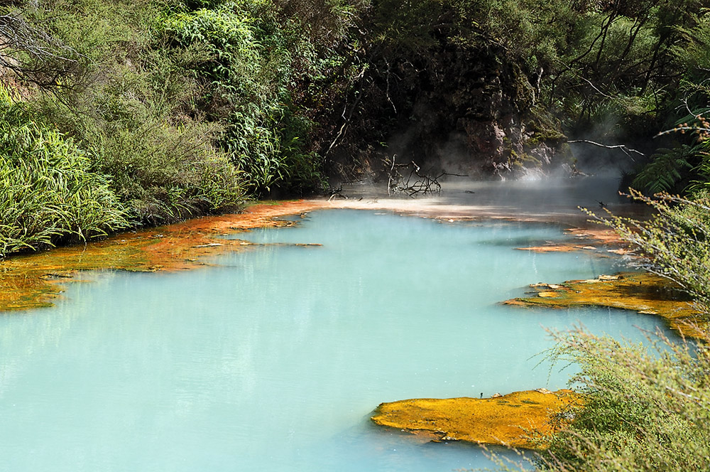 Bei den Warbrick Terraces