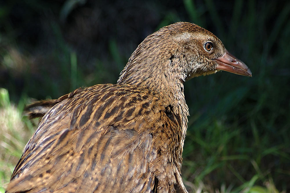 Dann geh' ich eben...