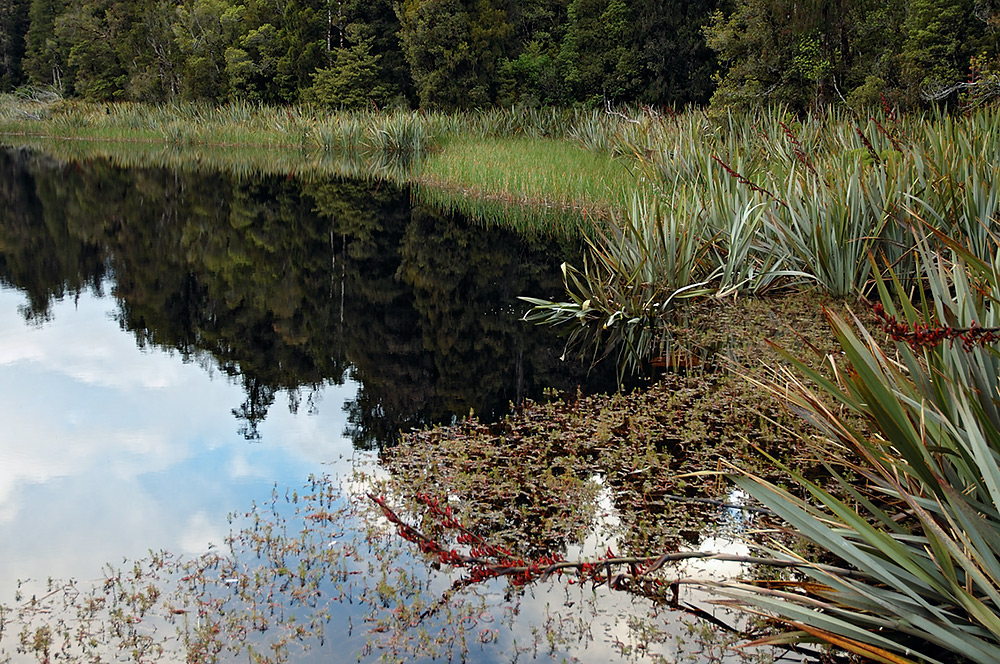 Der berühmteste See Neuseelands