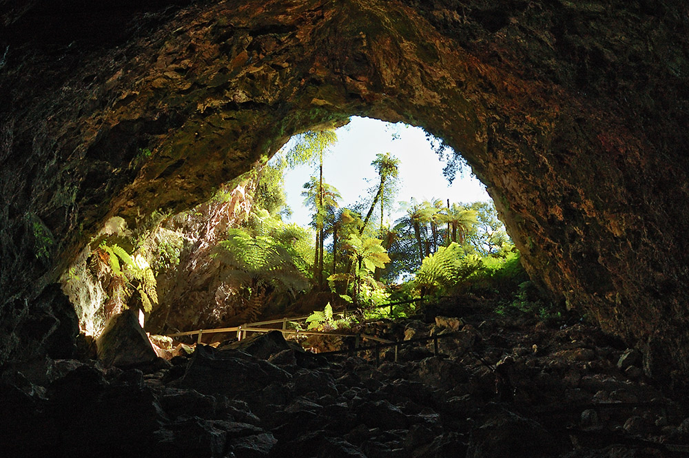 Der Blick aus dem Tümpel