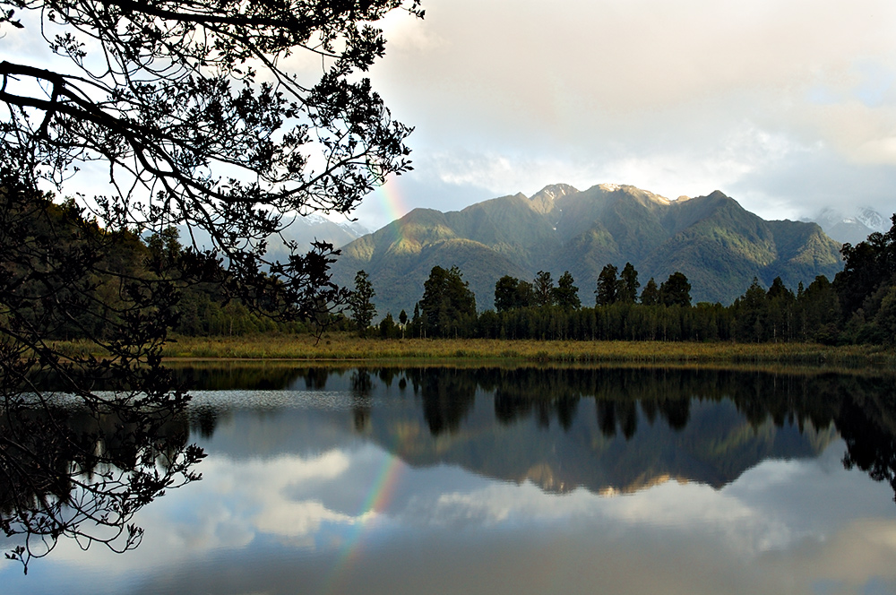 Die Entschuldigung...