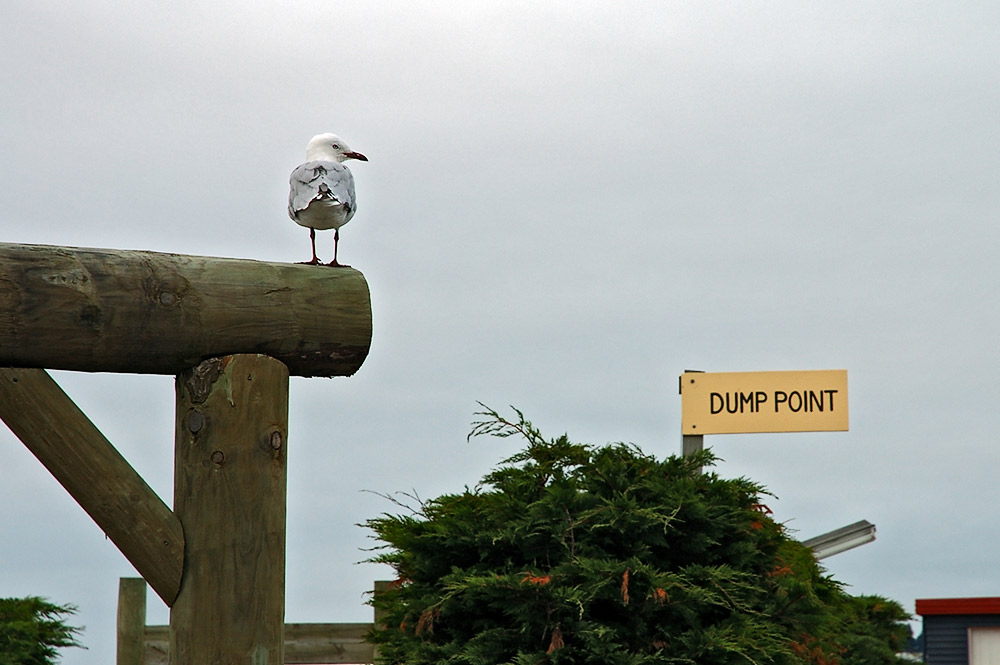 Dump Point