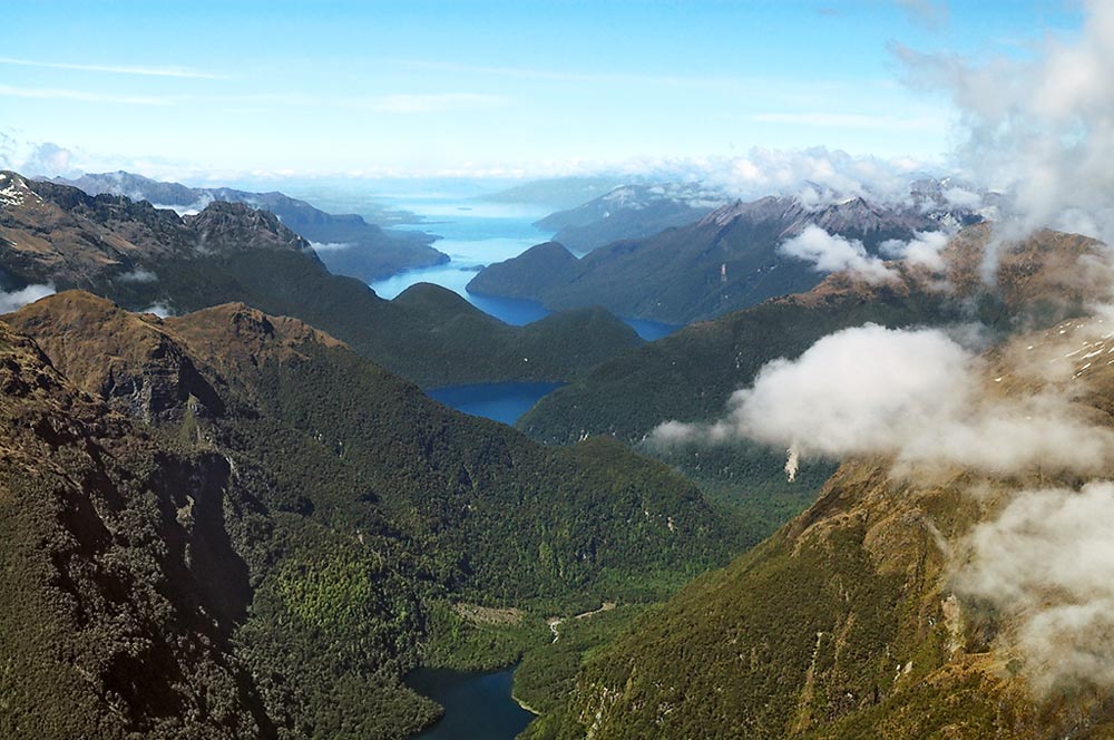 Fiordland