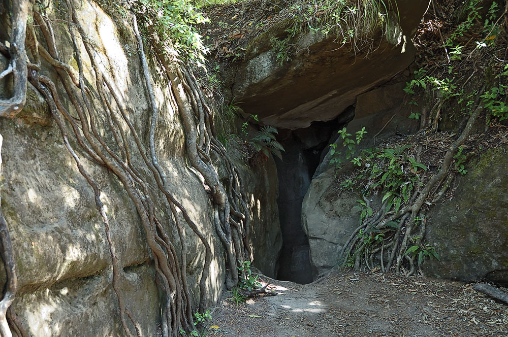 Gelegentlich sah man Hobbits hier herauskommen...