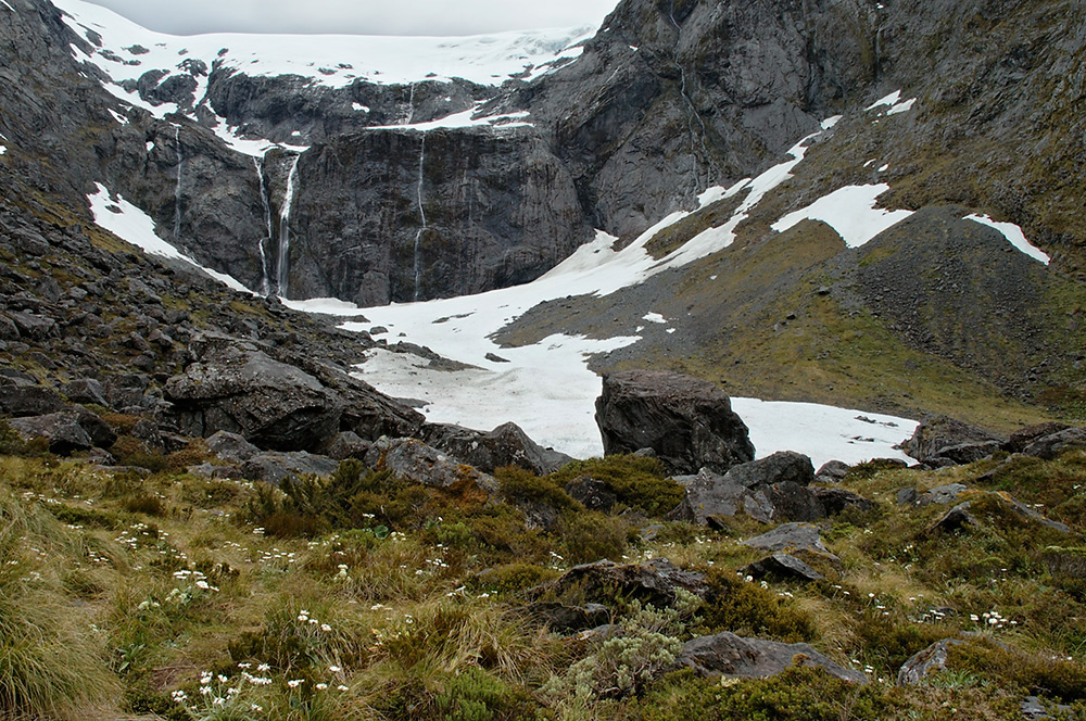 Homer Alpine Nature Walk