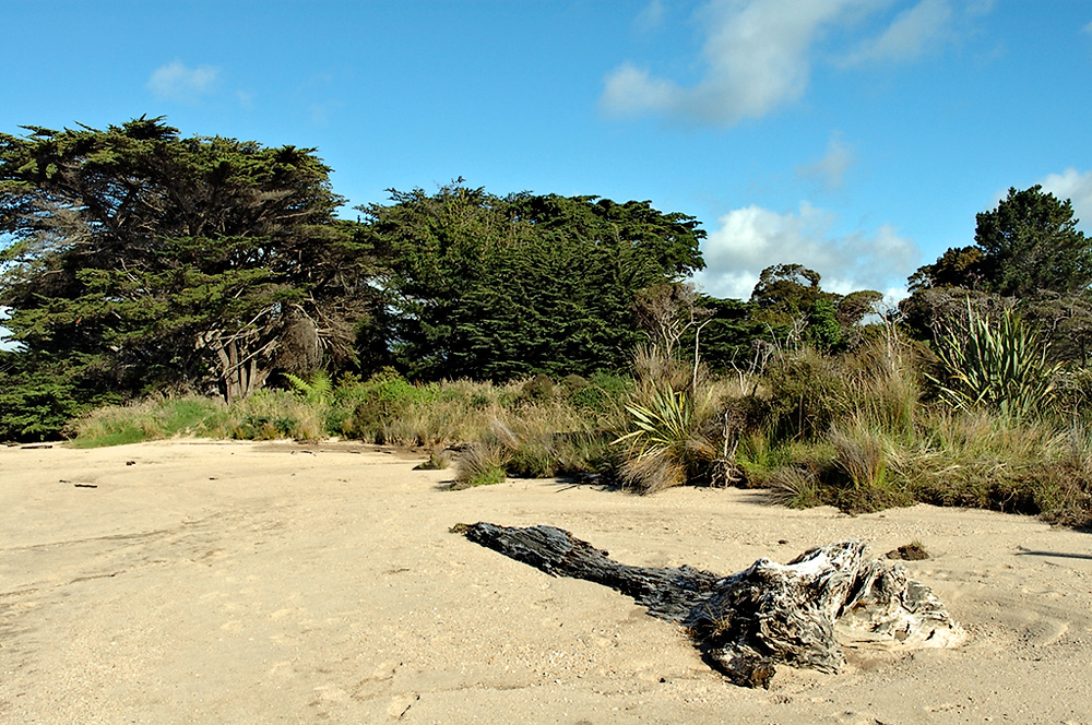 Karamea Beach