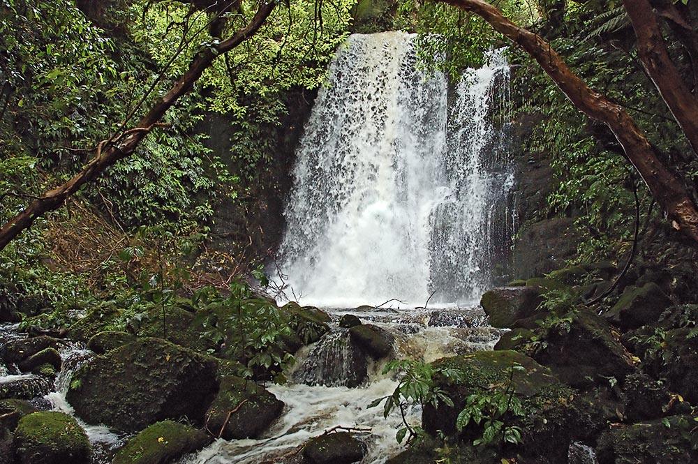 Matai Falls
