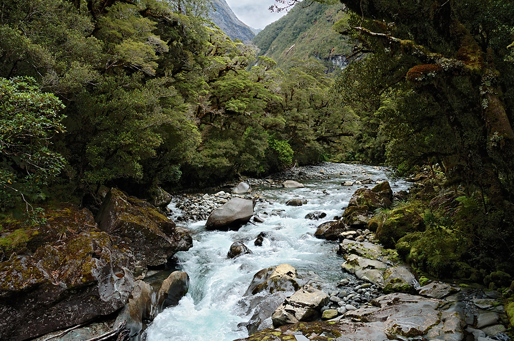 Southland wilderness