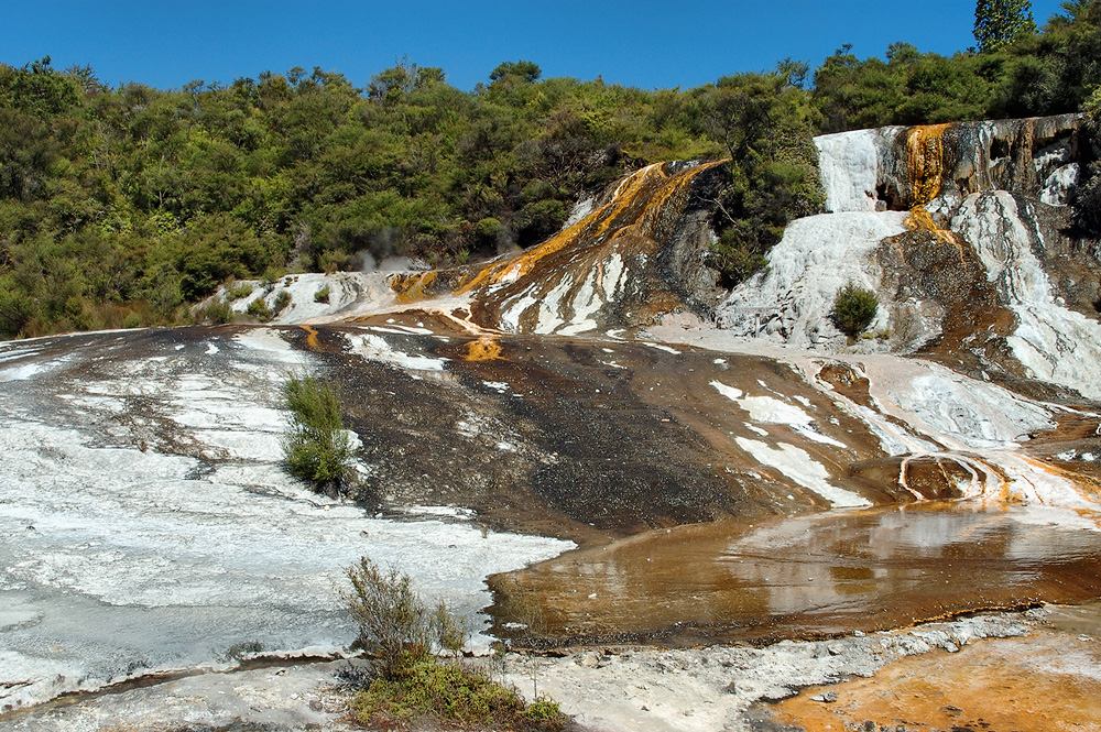 Streamer Microbial Mats