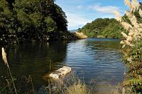 Abendspaziergang  am Lake Waikaremoana, Te Urewera National Park  Eingerahmt von goldenem Toetoe Grass und bevölkert von einer emsigen Schar von Maori Enten, Paradieskasarkas und Schwarzschwänen lädt dieser zauberhafte See inmitten des abgeschiedenen Te Urewera Parks an jeder kleinen Bucht zum Verweilen ein.  Wenn nicht gerade eine Horde von Angelfanatikern mit lärmenden Außenbordern über den großen See tobt, der allerdings erst hinter der Landzunge in der Bildmitte richtig beginnt... : te urewera national park, lake waikaremoana, rotorua, toetoe grass, aniwaniwa falls