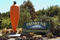 Abenteuer im Möhrenland?  Mit Bugs Bunny auf Rübenjagd? So ganz will sich dem unbedarften Betrachter nicht der Zusammenhang zwischen der Wurzel und den Abenteuern im Vulkanland erschließen. Auf jeden Fall hat Ohakune sich damit einen höchst skurrilen Hingucker gesichert. : tongariro national park, ohakune, ngauruhoe, ruapehu, emerald, north crater, red crater