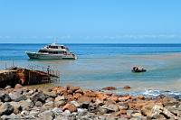 Auch 'ne Art, einen Vulkan zu besteigen  Es gibt nur zwei Wege nach White Island: Per Helicopter (die schnellere und spektakulärere Variante), oder per  PeeJay , dem lizensierten Bootsunternehmen bei dem man auf dem Weg noch den Kontakt mit diversen Delphinschulen genießen kann. Das Ziel ist gleichermaßen einzigartig! : white island, whakaari, bay of plenty, whakatane,schichtvulkan,fumarolen,schwefel,sulphur