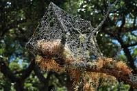 Bau(m)haus  Der Architekt und Bauherr war leider nicht anwesend, so dass das Werk für sich sprechen muß ;-).  Aufgenommen am Strand von Sandspit, Neuseeland. : northland, warkworth, kawau bay, sandspit, snells beach, sandspit holiday park