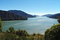 Da ein Häuschen und ein Boot...  Blick vom südlichen Ende des Kenepuru Sounds Richtung Nordosten. Nein, ich fange jetzt nicht an zu schwärmen... ich will da nur wieder hin! : marlborough sounds, picton, havelock, queen charlotte sound, pelorus sound, kenepuru sound