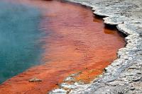 Der Poolrand  Wai-O-Tapu Thermal Wonderland #10  Das aus dem 75°C heißen Wasser des Pools ausgefallene orangefarbene Sediment verdankt seine Entstehung den überreichlich gelösten Metalloidverbindungen Orpiment und Stibnit. : waiotapu, wai-o-tapu thermal wonderland, rotorua, microbial mats, geysers, hot springs, mud pools, champagne pool