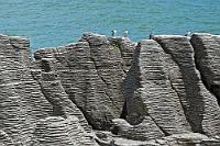 Die Wächter der Burg  Wo wir grad' bei den Pancake Rocks sind... : westland, west coast, tasman sea, punakaiki, pancake rocks, paparoa