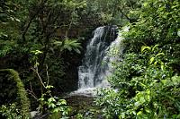 Horseshoe Falls  Entlang des Papatowai Highways erstreckt sich südlich Dunedins der Regenwald der Catlins. Auch wenn man 'nur' in Richtung Süden durchreist, sollte man sich die ausgeschilderten Abstecher von meist weniger als einer Stunde Fußweg gönnen, um den sehenswerten Wasserfällen Purakaunui, Matai und Horseshoe inmitten saftiger, grüner Natur einen Besuch abzustatten.  Man sollte lediglich als Camper um Gordons Motor Camp in Papatowai einen weiten Bogen machen. Obwohl verkehrsgünstig direkt am Highway neben einem Supermarkt und einer Tankstelle gelegen, ist der Betreiber das einzige uns bekannt gewordene Exemplar von Kiwi, welches Touristen als natürlichen Feind zu betrachten scheint. Seine Unfreundlichkeit und Kurzangebundenheit ließen uns trotz bereits entrichteter Campinggebühr den Platz wieder fluchtartig verlassen, um statt dessen ein paar Kilometer zurück in Owaka erheblich freundlicher aufgenommen zu werden. : horseshoe falls,catlins, papatowai highway