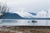 Jackson Bay Harbour  In dieser Gegend würde ein Sonnenstrahl schon fast deplaziert wirken. : west coast, westland, fiordland, jackson bay, jackson bay road, jackson bay harbour