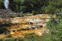 Marble Terrace  Waimangu Volcanic Valley #4  In dem jüngsten Thermalgebiet der Welt findet eine geologische Entwicklung quasi unter den Augen moderner Menschen statt. Mit dem Ausbruch des Mount Tarawera 1886 wurde erst der Grabenbruch geschaffen, in dem das Tal heute liegt. Bei dem Ausbruch wurden die Sinterterrassen  'Pink and White Terraces', bis dahin die bekannteste Sehenswürdigkeit Neuseelands, komplett verschüttet. Seither wachsen diese Kalkterassen unaufhörlich, werden aber wohl noch eine Zeitlang brauchen, bis sie mit der untergegangenen Pracht konkurrieren können.  Von 1900 bis 1903 sprudelte im Tal zudem der Waimangu-Geysir, mit Wasser- und Dampferuptionen von bis zu 450m der größte Geysir der Welt. 1904 bewirkte ein Erdrutsch ein Absinken des Grundwasserspiegels, in dessen Folge der Geysir abrupt erlosch. : waimangu, waimangu volcanic valley, lake rotomahana, mount tarawera, rotoruaroa, microbial mats, geyser, hot springs, marble terrace