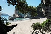 Mare's Leg Cove  Hier mündet der Weg hinunter zur Cathedral Cove. Bevor man die letzten Holztreppenstufen auf den Sand herunter steigt, hat man diesen bezaubernden Blick auf den 'Mare's Leg Cove' genannten Strand. Alleine dieser Küstenabschnitt ist schon den Besuch der Coromandel Peninsula wert. : coromandel peninsula, waikato,hahei, mercury bay, limestone, te whanganui-a-hei, cathedral cove, mare's leg cove