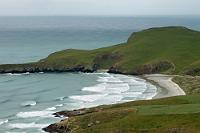 Nein, ist nicht Irland...  Sondern die Otago Peninsula bei etwas trübem Wetter. Wenn man zur Spitze der Halbinsel zum Taiaroa Head will, sollte man zumindest entweder den Hinweg oder den Rückweg nach Dunedin statt über die Küstenstrecke über die 'Highcliff Road' fahren. Die Ausblicke vom Hügelkamm mal aufs Meer hinaus, mal in die Bucht nach Port Chalmers oder Dunedin sind die paar Kilometer mehr unbedingt wert. : dunedin,otago peninsula,highcliff road