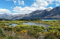 Paradies  Glenorchy und des Nordende des Lake Wakatipu von der Glenorchy Paradise Road. : southern alps, südalpen, queenstown, lake wakatipu paradise road, glenorchy