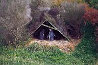 Pinguinvilla  Ich bitte die durchwachsene Bildqualität zu entschuldigen. Ist aber das einzige Foto aus der betreuten  Yellow Eyed Penguin  (Megadyptes antipodes)  Kolonie auf Taiaroa Head .   Scan vom Film – Pentax MX – 200 mm – Kodak GOLD 200 : otago peninsula, taiaroa head,yellow eyed penguin,megadyptes antipodes