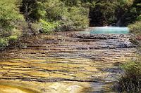 Sinterterrassen  Waimangu Volcanic Valley #6  Aus dem kalkgesättigten Wasser des Flüßchens aus dem vorhergehenden Bild haben sich diese schönen Sintertreppen, die Warbrick Terraces, durch sukzessive Ausfällung gebildet. : waimangu, waimangu volcanic valley, lake rotomahana, mount tarawera, rotoruaroa, microbial mats, geyser, hot springs, warbrick terrace