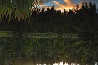 Something's wrong  Man kann dieses Bild eines Uferteilstücks des Lake Matheson auch als Aufforderung zum Ausgleichsport vorm Computer verstehen: Ein wenig körperliche Betätigung rückt manches wieder zurecht....  Oder, man dreht einfach den Monitor um ;-) : westland, west coast, tasman sea, weheka, fox river road, lake matheson