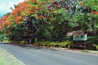 The Little Polynesian  Wehmütige Erinnerungen verbinden sich mit diesem Namen. Sowohl 1998 wie auch 2005 krönten wir unsere Neuseelandurlaube mit einem abschließenden Aufenthalt auf Rarotonga. Nach vier Wochen im Camper entspannt die Beine  bei Südsee Flair baumeln lassen war angesagt.  Kaum etwas war dazu besser geeignet, als dieses kleine, familiär geführte Bungalowhotel, welches eingerahmt von Flammenbäumen und anderem üppigen Bewuchs direkt an der Titikaveka Bucht lag – dem schönsten Strand der Insel. Absolute Ruhe, kein Bespaßungs-Halligalli und dazu noch ausgesprochen preiswert – traumhaft!   Kaum drei Jahre später riefen wir mal wieder die Internetadresse des 'Little Polynesian' auf. Welch ein Schock! Offensichtlich war das Hotel zwischenzeitlich an potente Investoren verkauft worden, die aus unserer Oase flugs einen Wellness-Schuppen mit allem Drum und Dran gebastelt hatten. Mit Übernachtungspreisen von mehreren hundert Dollar zielt dieses Luxus Spa auf amerikanische Honeymoon-Gäste, die sich direkt am Strand, begleitet Hula-Schönheiten, ihr Ja-Wort geben können. Nichts mehr von dem alten Charme und der ruhigen Privatheit. Schade, Rarotonga, SO wirst Du uns nie wiedersehen... : rarotonga, cook islands, titikaveka beach, little polynesian