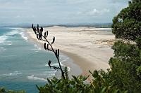 ...und nicht eine Sandburg!  Okay, wahrscheinlich gäb's nicht mal eine, selbst wenn der XXL-Strand von Kiwis bevölkert wäre, hat sich doch diese typisch deutsche (Un)Sitte glücklicherweise noch nicht bis auf die andere Seite herumgesprochen.  Das Bild zeigt einen unspektakulären, bis auf den an dieser Stelle beginnenden 'Mangawhai Cliffs Walkway' touristisch wenig relevanten Ostküstenabschnitt an der Grenze zwischen Auckland und Northland. Wir haben dieses Fleckchen zufällig entdeckt, als wir auf dem Weg zur Bay of Islands zwecks Auflockerung den Highway 1 verließen, um auf Nebenstrecken ein Stückchen entlang der Küste zu bummeln. Bei Mangawhai Heads stießen wir auf einen Strandparkplatz neben einem isoliert stehenden Hügel, von dem aus dieses Foto Richtung Süden aufgenommen wurde. Bemerkenswert die aus reinem Sand bestehende breite Landzunge, die den dahinter liegenden Mangawhai Harbour vom offenen Meer abschirmt. : northland,mangawhai, mangawhai heads,mangawhai harbour, mangawhai cliffs walkway