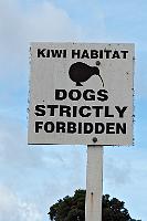 Und was ist mit Katzen, Ratten und Mardern?  Gesehen in der Bay of Islands. Ob das noch hilft...? : northland, bay of islands, te rawhiti inlet, pahia, russell, haruru,waitangi, waitangi river,kiwi habitat