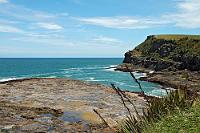Ziemlich tief im Süden  Curio Bay, Petrified Forrest : curio bay, petrified forrest,kelp