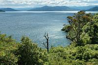 Zwielicht am Lake Waikaremoana  Sehr windig war's im Zentrum des Te Urewera NP. Die schnellziehenden Wolken sorgten für ein andauerndes Spiel des Lichts auf dem Wasser. Am Himmel wechselte strahlendes Blau sich ab mit bedrohlichen Regenstimmungen.  Und bei all dem keine Menschenseele weit und breit. Die am Seeufer verlaufende Straße ist eine Gravel Road, auf der kaum Verkehr stattfindet. Zwischen der Straße und der das Seeufer einfassenden Klippe befindet sich hier ein verwinkeltes Gang- und Höhlensystem, die Onepoto Höhlen, deren Erkundung viel Spaß macht und immer wieder aus offenen Abschnitten Ausblicke wie diese auf das Ufer gestattet. : te urewera national park, lake waikaremoana, rotorua, onepoto caves
