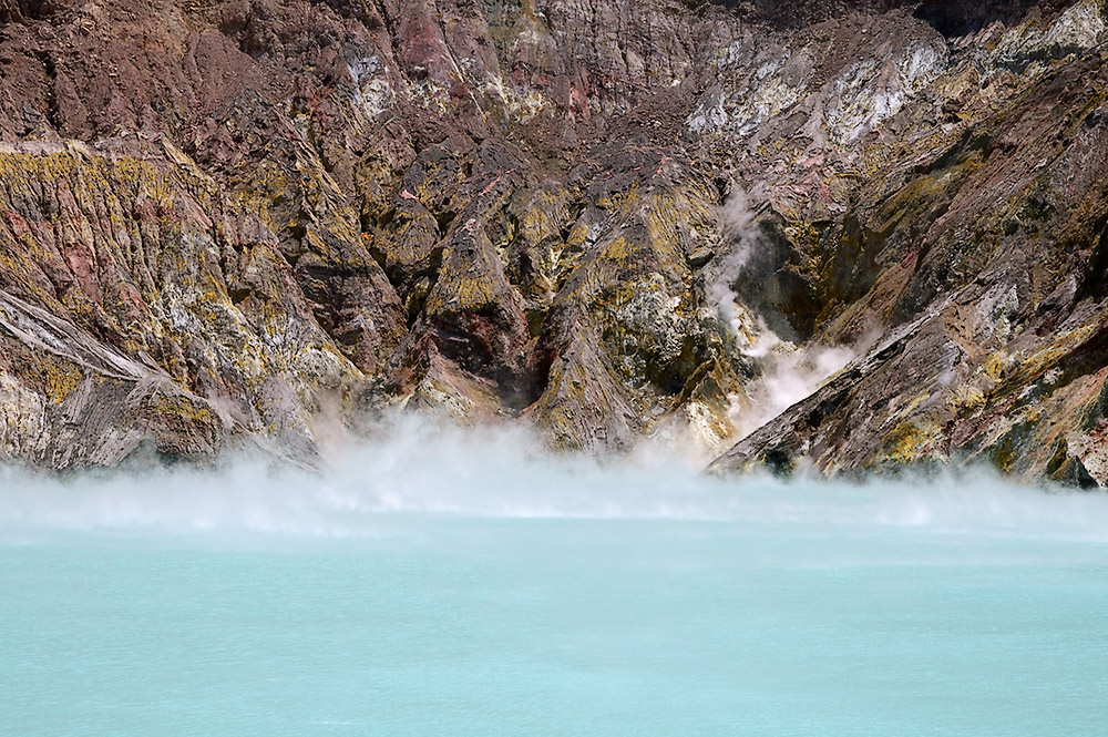 Trügerische Schönheit