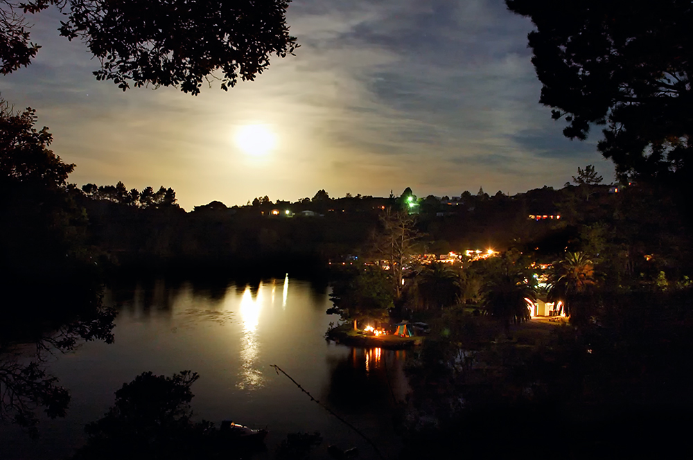 Unser Waitangi Day...