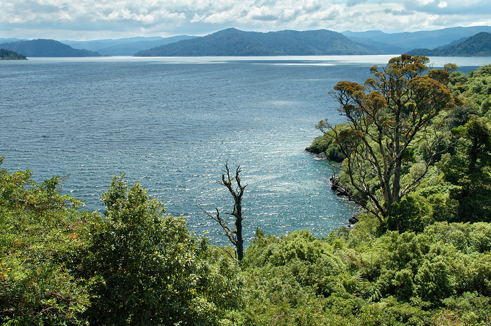 Zwielicht am Lake Waikaremoana