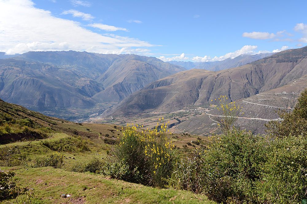 Alles unter Kontrolle