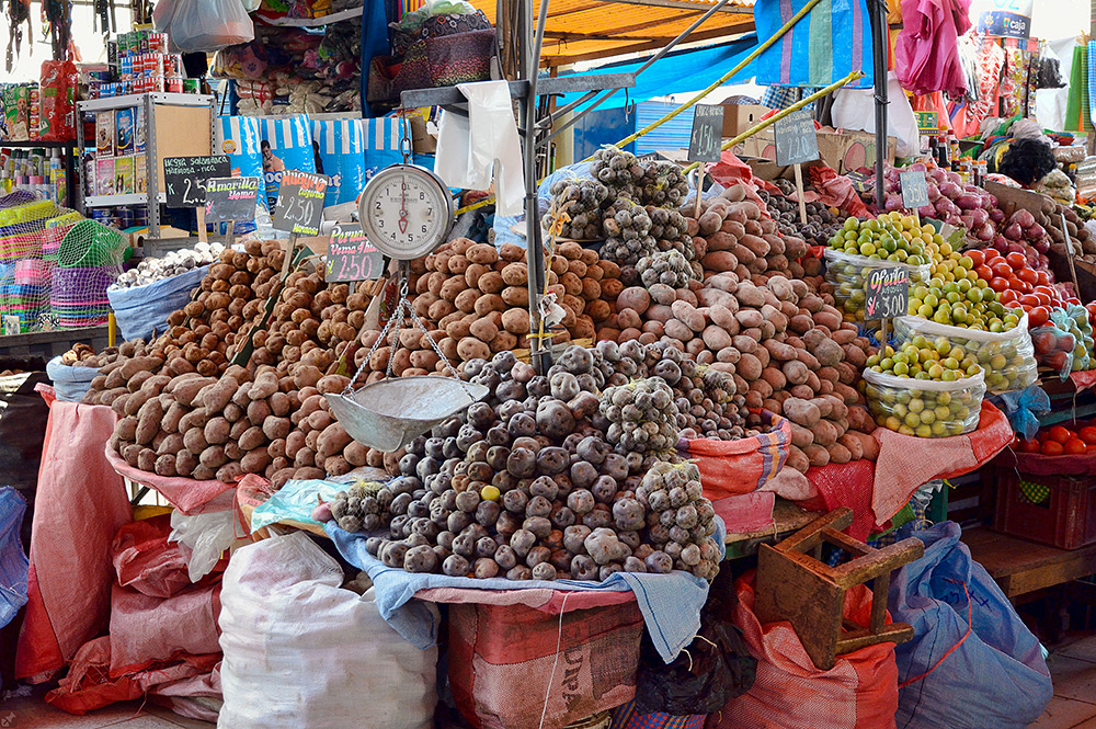 Die Wiege der Kartoffel