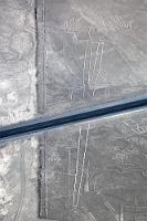 "Die Eidechse"  Beim Bau der Panamericana waren die Straßenbauer so begeistert von der geometrischen Qualität einiger Linien, dass sie die Straße kurzerhand kilometerlang den bereits existierenden schnurgeraden Spuren folgen ließen – und dabei in bodenloser Ignoranz gnadenlos unwiederbringliche Kulturschätze zerstörten. Erst 1979 wurde das Gebiet vom peruanischen Staat als 'Archäologische Zone' anerkannt und unter besonderen Schutz gestellt.