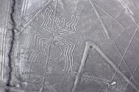 "Die Spinne"  Zigmal hat man die Zeichnungen schon auf Bildern oder in Filmberichten gesehen. Es ist aber doch etwas völlig anderes, sie mit eigenen Augen aus dieser Perspektive betrachten zu können. Wobei – ehrlich gesagt – der erste Eindruck etwas enttäuschend ist. Der Pilot gibt sich zwar Mühe, durch Neigung und Wenden der Maschine jedem Passagier einen Blick auf die Figuren zu ermöglichen. Aber selbst aus dieser niedrigen Höhe sind die meist zwischen 50 und 100 m großen Figuren überraschend klein, heben sich wegen des geringen Kontrastes nur schwach vom Wüstenboden ab und bleiben viel zu schnell hinter dem Flieger zurück.