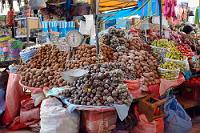 Die Wiege der Kartoffel  Die ältesten Nachweise über die Kultivierung der Kartoffel stammen aus der Titicacaseeregion, ein Befund, welcher ebenso wie der enorme Artenreichtum der nahrhaften Knolle die Welternährungsorganisation der Vereinten Nationen dazu bewog, Peru als die "Wiege der Kartoffel" anzuerkennen. In Lima befindet sich das Internationale Kartoffelinstitut, dessen Gendatenbank die Vielfalt der Varietäten widerspiegelt: über 100 wilde und 3800 kultivierte Kartoffelsorten sind hier verewigt.